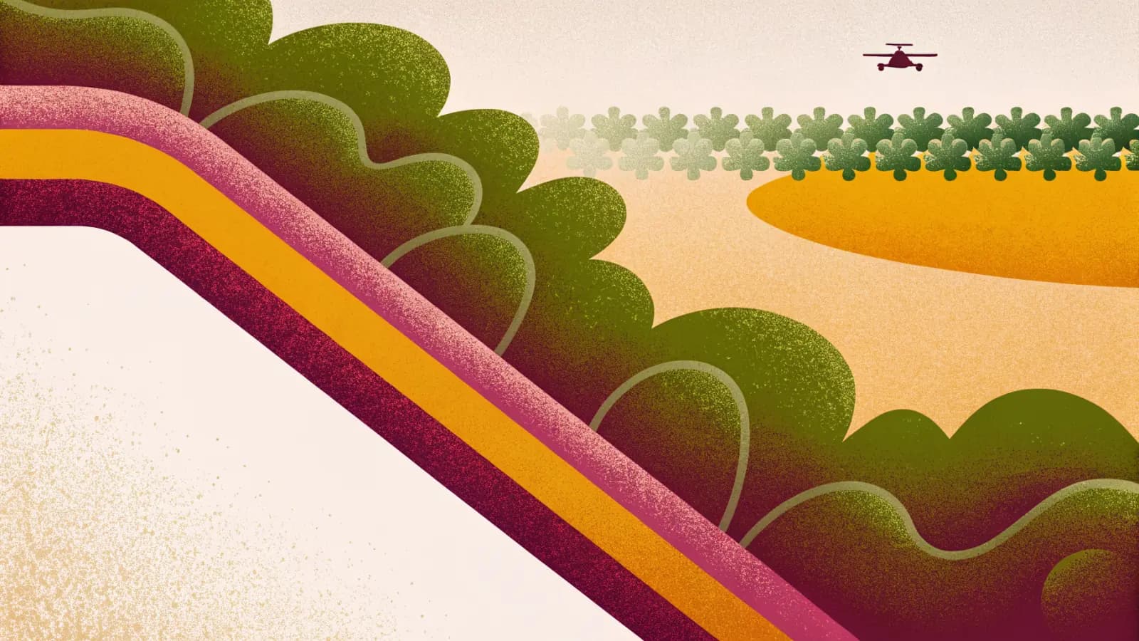 Illustration in a warm, grainy, flat style: a shoreline curving across the frame with a pale sand strip, low scrub and planting behind it, and a small drone above